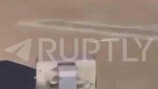 Pe aeroportul din Köln, potrivit unor martori oculari, doi pasageri din România au ratat îmbarcarea și au încercat să prindă avionul, alergând după el chiar pe pista de decolare! - Sputnik Moldova