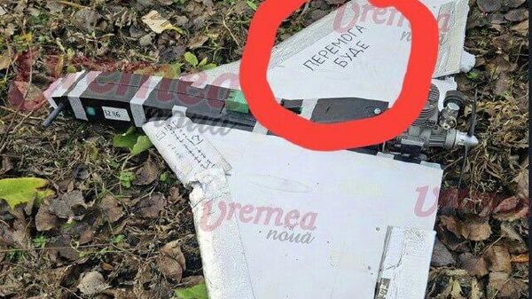 Румынские СМИ опубликовали фото якобы российского дрона, упавшего в населённом пункте Пуешти, уезда Васлуй - Sputnik Молдова