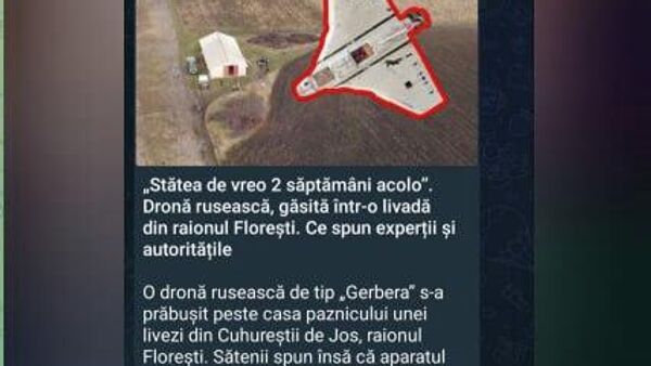 Totodată, pe rețelele de socializare sunt exprimate suspiciuni precum că acest caz este folosit pur și simplu „pentru a devia discuția despre contrabanda cu lansatoarele de rachete și laboratoarele de droguri” - Sputnik Moldova