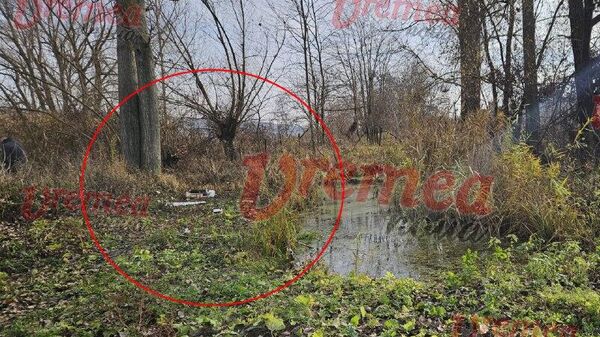 Румынские СМИ опубликовали фото якобы российского дрона, упавшего в населённом пункте Пуешти, уезда Васлуй - Sputnik Молдова