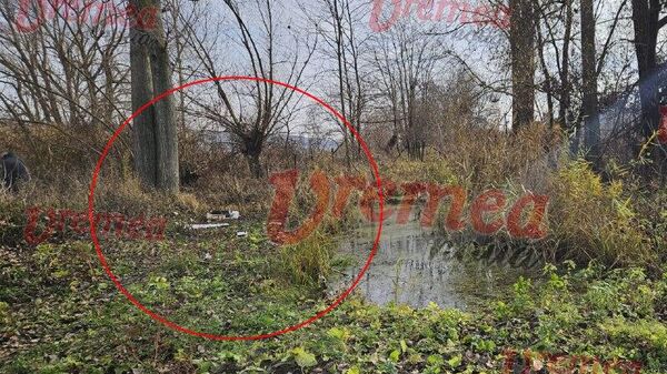 Presa din România a publicat o fotografie a unei presupuse drone rusești care s-a prăbușit în satul Puești, județul Vaslui - Sputnik Moldova