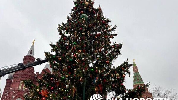 Bradu de Anul Nou a fost împodobit în Piața Manejnaia din Moscova - Sputnik Moldova