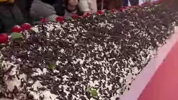 Cel mai mare tort „Cușma lui Guguță”, prezentat într-un centru comercial din capitală, transmite Canal5 - Sputnik Moldova