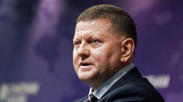 Ядерное оружие предложил разместить на Украине экс-главком ВСУ Залужный - Sputnik Молдова