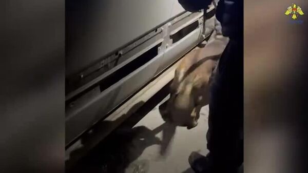 Ofițerii Serviciului Vamal au depistat peste 10 160 de țigarete ascunse în compartimente improvizate în caroseria unui Volkswagen Crafter, condus de un bărbat de 36 de ani - Sputnik Moldova