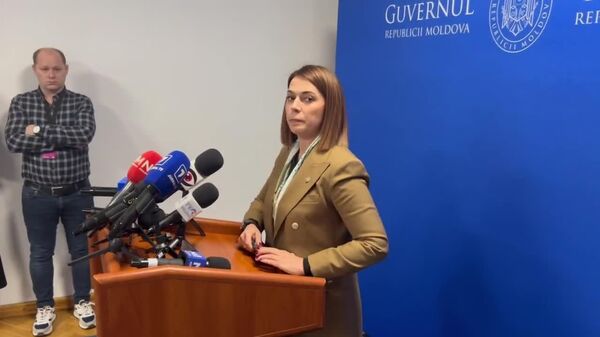 Fondul de subvenționare a agriculturii are o datorie de peste 1 miliard de lei față de fermieri, a declarat ministra agriculturii, Ludmila Catlabuga - Sputnik Moldova