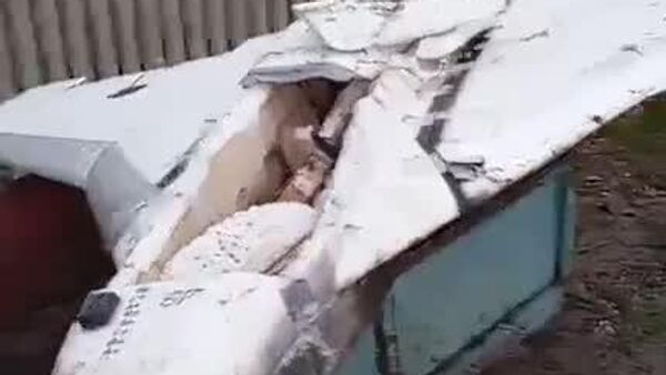 În Republica Moldova a fost descoperită încă o dronă — în comuna Pepeni, raionul Sîngerei - Sputnik Moldova