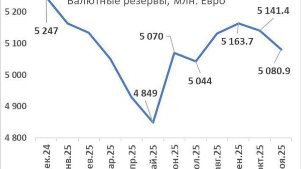 Лишь за один месяц валютные резервы Молдовы похудели на 60 млн евро, приводит статистику экономический эксперт Владимир Головатюк - Sputnik Молдова
