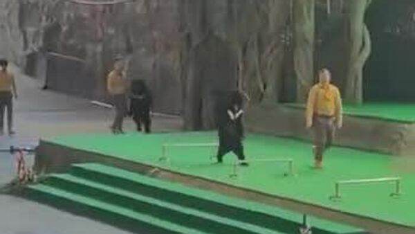 Un urs a atacat un dresor în timpul unui spectacol într-un safari-park din China - Sputnik Moldova