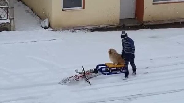 Acest clip rămâne nemuritor: clasicul 𝐇𝐨𝐦𝐞 𝐀𝐥𝐨𝐧𝐞, în varianta românească! - Cluj - Sputnik Moldova