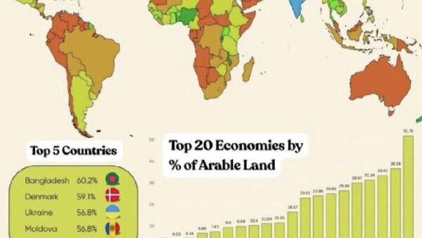 Moldova se numără printre primele cinci țări în ceea ce privește suprafața de teren arabil (procentul de teren agricol din suprafața totală a unei țări) - Sputnik Moldova