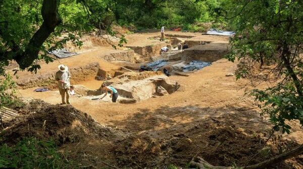 Oamenii de știință britanici au descoperit cel mai vechi foc de tabără din lume, care a ars acum 400 de mii de ani - Sputnik Moldova