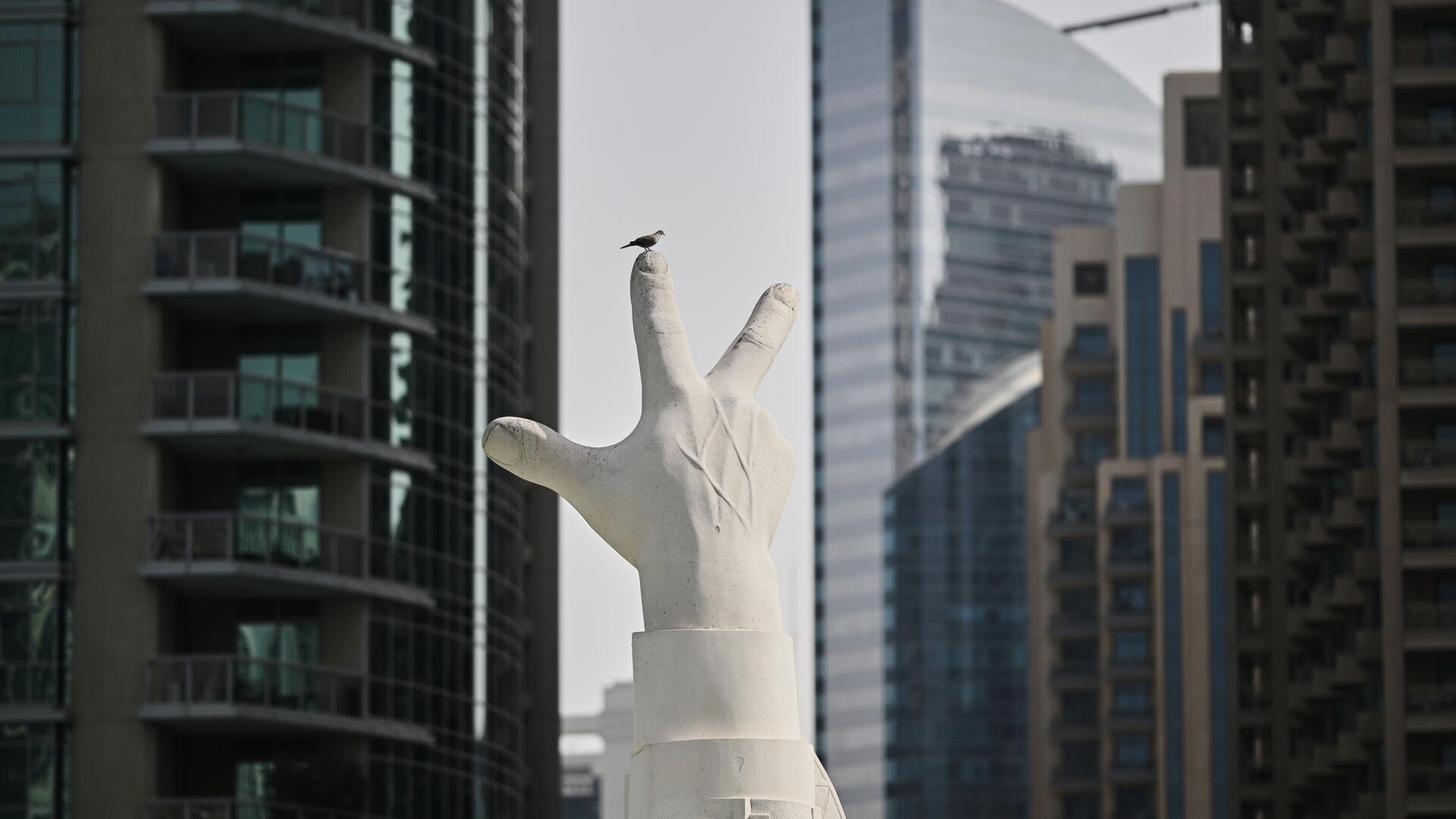 Глава МИД Молдовы участвует в форуме в ОАЭ - Sputnik Молдова, 1920, 12.12.2025