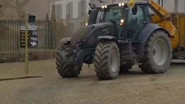 Фермеры в Франции протестуют с навозом против убоя коров - Sputnik Молдова