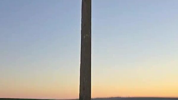 O cameră de „supraveghere” montată la o groapă de gunoi, filmată de liderul „Democrația Acasă” Vasile Costiuc, face furori pe rețelele de socializare - Sputnik Moldova