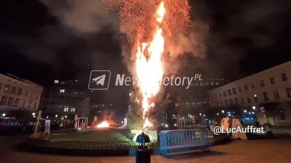 Елочка, гори! Накануне саммита ЕС в Брюсселе, на котором решается вопрос финансирования Украины, протестующие фермеры сожгли ëлку возле Европарламента - Sputnik Молдова