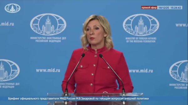 Заявление МИД Молдовы о рисках для молдаван при обращении за ВНЖ РФ говорит о верности Кишинева антироссийскому курсу — Захарова - Sputnik Молдова