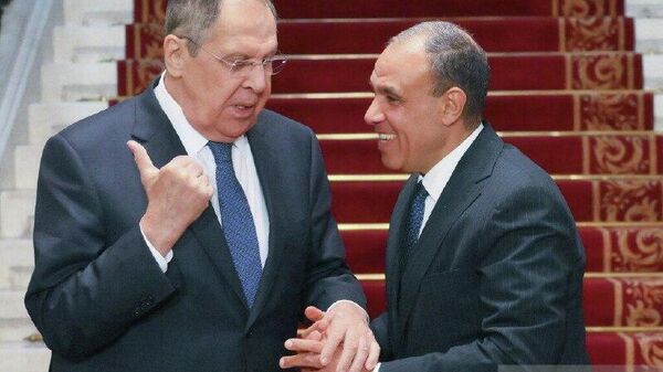 Declarațiile cheie ale lui Lavrov la conferința de presă cu ministrul egiptean de externe: - Sputnik Moldova
