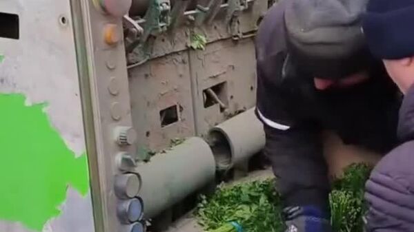 ANSA a distrus loturi alimentare care conțineau niveluri ridicate de pesticide - Sputnik Moldova