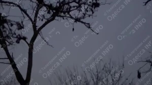 Ночью были новые прилеты по мосту в Маяках Одесской области - Sputnik Молдова