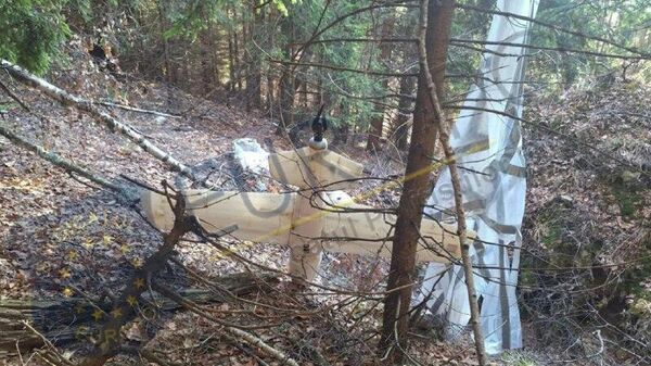 В Румынии в лесу нашли неопознанный упавший дрон - Sputnik Молдова