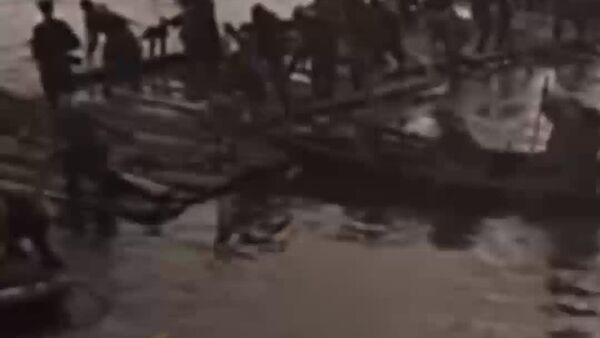 „O pasăre rară ajunge până la mijloc…” — la 23 decembrie 1943 s a încheiat bătălia pentru Nipru - Sputnik Moldova