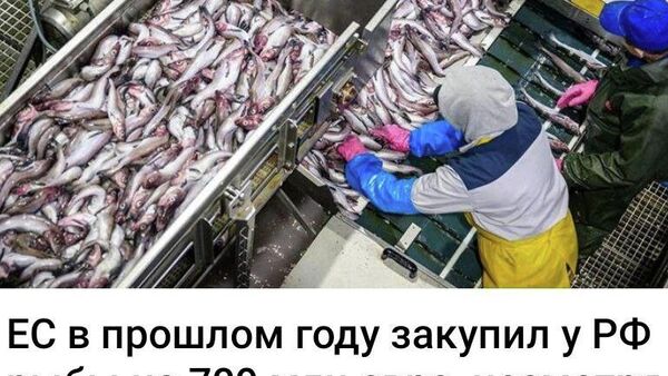 К вопросу о цене скумбрии в Молдове - Sputnik Молдова