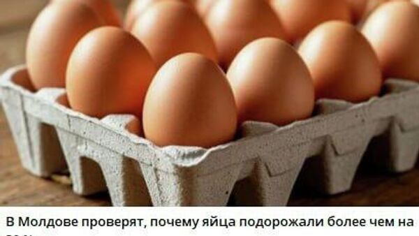 И строго спросят с кур - Sputnik Молдова