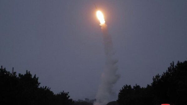 Ким Чен Ын наблюдал за тестовым пуском ЗРК большой дальности, находящихся в разработке КНДР — ЦТАК - Sputnik Молдова