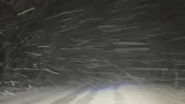 Situația meteo în nordul Moldovei arată așa - Sputnik Moldova