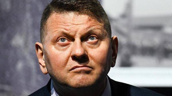 Președintele Ucrainei la sfârșitul anului 2026 ar putea fi Valeri Zalujnîi, admite Washington Post - Sputnik Moldova