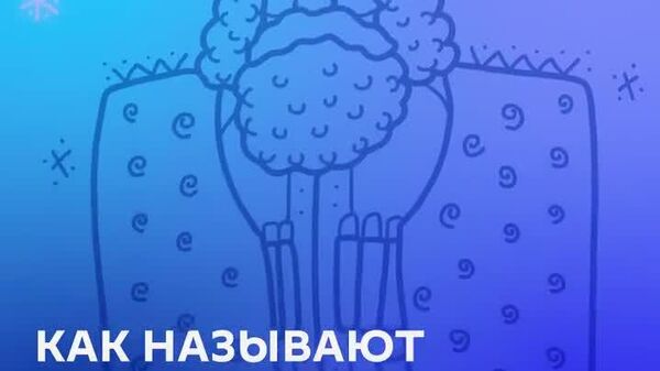 Какой же Новый год без Ацаа Бабаду, Шахта Баба, Каханд Пап? - Sputnik Молдова