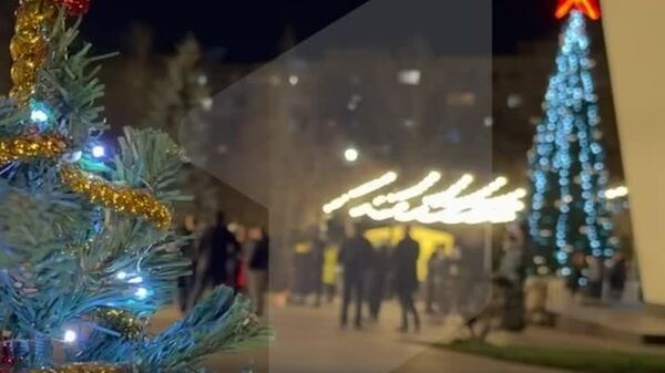 Вадим Красносельский поздравил приднестровцев с Новым годом - Sputnik Молдова