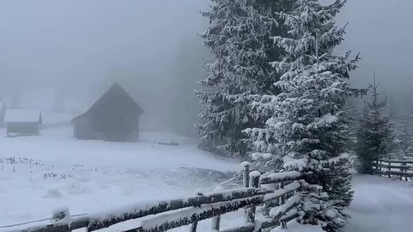 Cătunul La Garduri, Munții Apuseni - 1 ianuarie 2026 - Sputnik Moldova