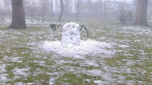 Кишиневский снеговик - Sputnik Молдова