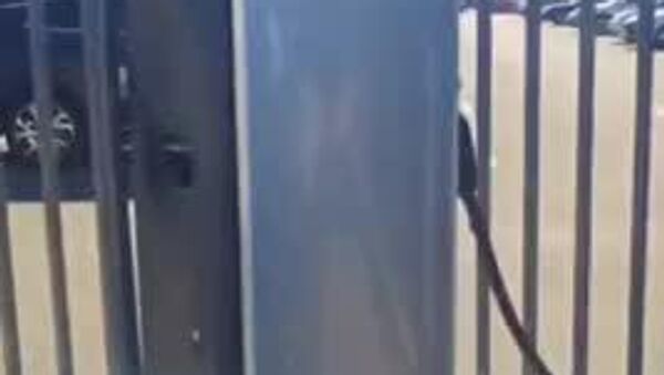 Producătorii chinezi au găsit o nouă modalitate de a-i învinge pe producătorii auto occidentali: este vorba despre vitezele de încărcare a vehiculelor electrice, care să se apropie de viteza de alimentare cu carburant a mașinilor cu motor cu ardere internă - Sputnik Moldova