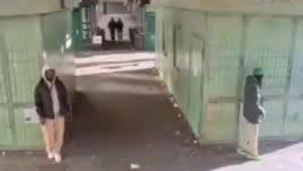 Un blogger arată cât de liber se vând drogurile tari în Europa, iar poliția nu intervine - Sputnik Moldova