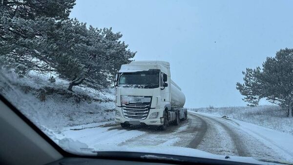 Снегопад в Молдове 8 января 2025 года - Sputnik Молдова