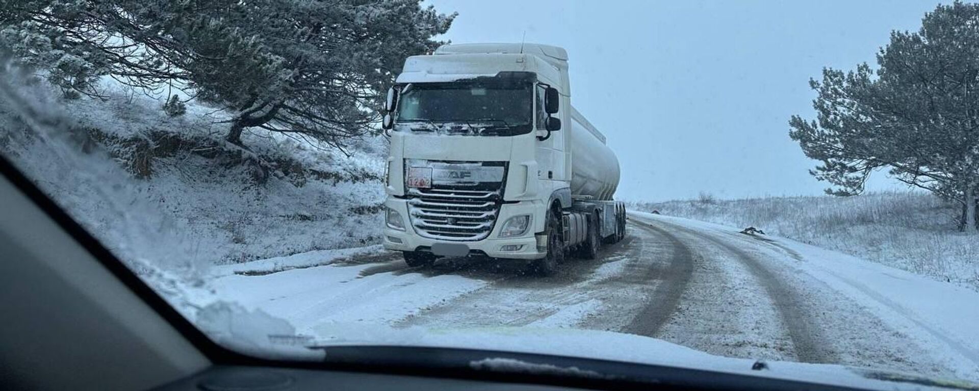 Снегопад в Молдове 8 января 2025 года - Sputnik Молдова, 1920, 08.01.2026