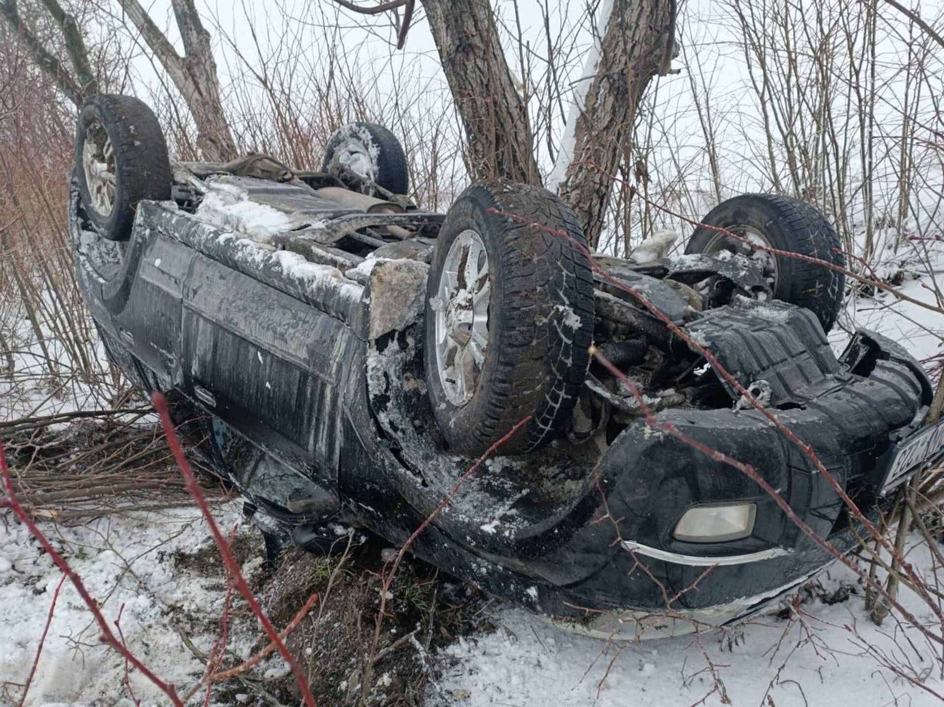 Снегопад в Молдове 8 января 2025 года - Sputnik Молдова, 1920, 08.01.2026