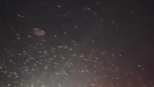 Pe șoseaua de beton care leagă Chișinăul de Bălți sunt zeci de mașini blocate din cauza ninsorii abundente - Sputnik Moldova