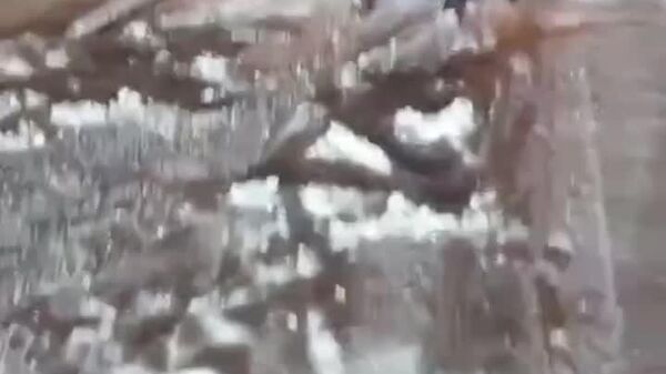 Poliția afirmă că angajații din Batalionul de Patrulare și Reacționare Operativǎ (BPRO) sunt în teren și intervin pentru a ajuta șoferii - Sputnik Moldova