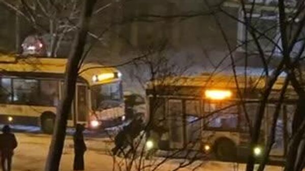 Ездовые пассажиры - Sputnik Молдова