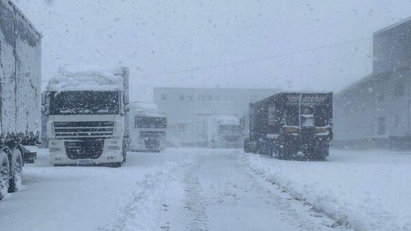 Проезд большегрузов через КПП на въезде в Молдову временно прекращен, сообщили в Таможенной службе - Sputnik Молдова