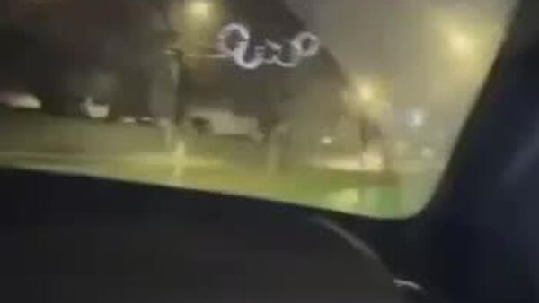 20-летнего водителя BMW, который проехался по велосипедной дорожке и пешеходной части проспекта в Кишиневе, натянули на глобус лишили прав, сообщает полиция Молдовы - Sputnik Молдова