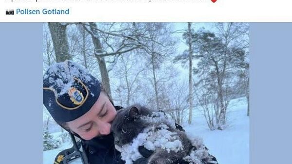 Посольство Швеции в Молдове нагоняет милоты - Sputnik Молдова