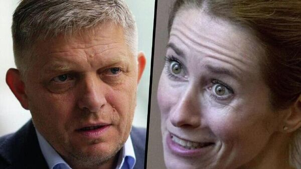 Каллас нужно убрать с поста главы евродипломатии, заявил Фицо - Sputnik Молдова