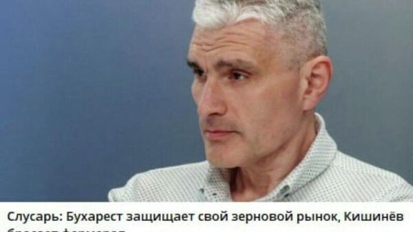 Alexandru Slusari a declarat că România își protejează piața de cereale, în timp ce autoritățile moldovene îi neglijează pe agriculturii țării noastre - Sputnik Moldova