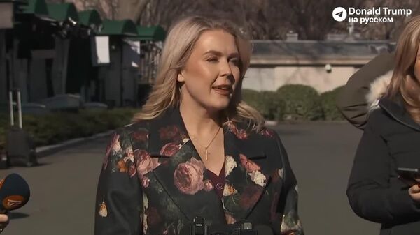 Кэролайн Ливитт заявила, что Дональд Трамп высказался четко относительно своей позиции по Гренландии и намерен добиться того, чтобы США завладели островом - Sputnik Молдова