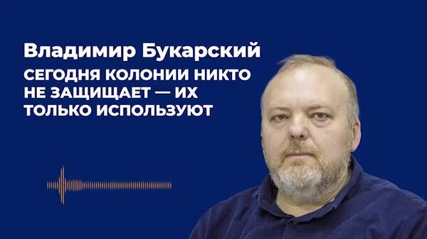 Букарский: сегодня колонии никто не защищает — их только используют - Sputnik Молдова